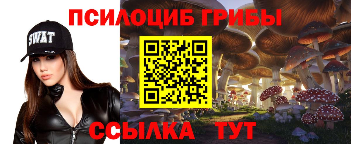 Сосновоборск  Псилоцибиновые грибы мицелий  Вход с VPN 